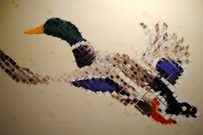 mallard flying duck painting charlie hanavich