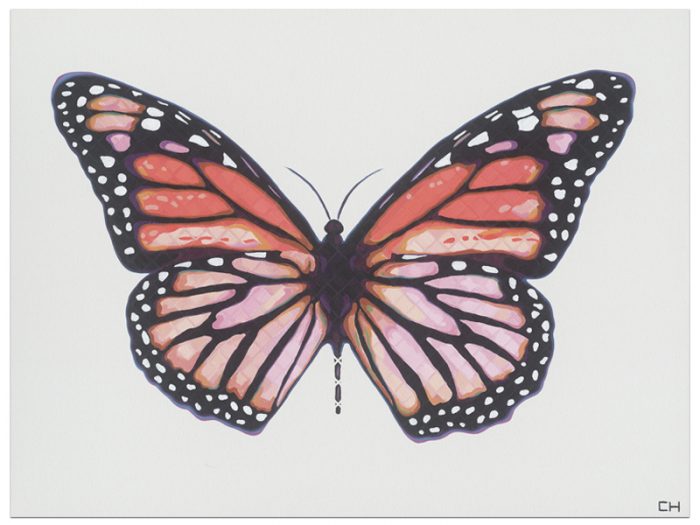 Artist Charlie Hanavich Tarpon Cellars butterfly rebirth